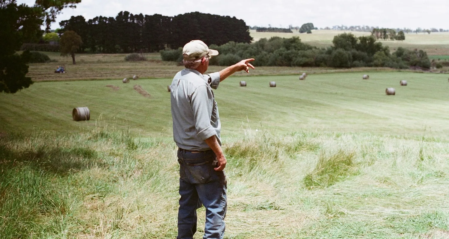 A farmer standing in a field of crops, looking out into the distance